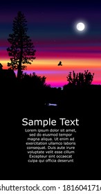 Colorful background for flyer or website design.  