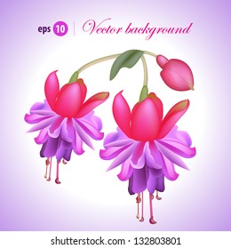 Colorful background with fuchsia. Easy to edit. Perfect for invitations or announcements.