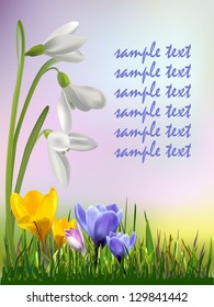 Colorful background with realistic flower and grass. Vector illustration.