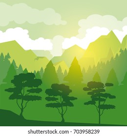 colorful background with sunrise landscape of forest with trees
