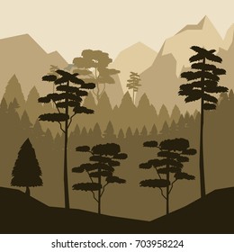 colorful background with sunset landscape of forest with trees