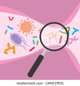 Colorful bacterial microorganism in magnifying glass. Bacteria and germs set, micro-organisms disease-causing objects, cell cancer, bacteria, viruses, fungi, protozoa. Vector flat cartoon illustration