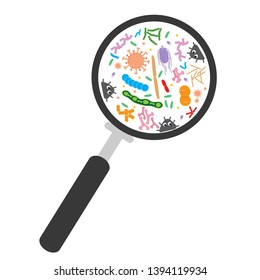 Colorful bacterial microorganism in magnifying glass. Bacteria and germs set, micro-organisms disease-causing objects, cell cancer, bacteria, viruses, fungi, protozoa. Vector flat cartoon illustration