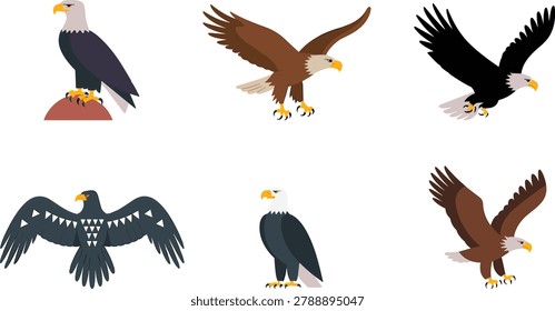 Colorful bald eagle bird vector illustration collection featuring various flying and perching predatory raptor poses isolated on white background
