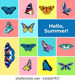 Colorful banner of butterflies, text Hello Summer. Set of spring and summer butterfly icons. Background for promotional posters, advertising, booklet, discount banners, sale. Vector Illustration