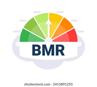 Colorful Basal Metabolic Rate BMR Indicator Gauge Vector Illustration with Distinct Zones