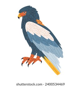 colorful bateleur eagle wild nature animal hunter predator carnivore and scavenger bird