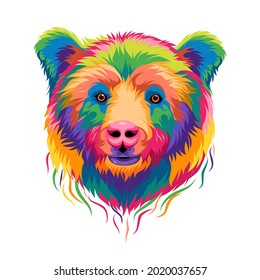 colorful bear head on white background