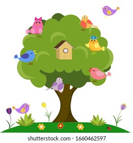 colorful beautiful birds and a birdhouse on a tree