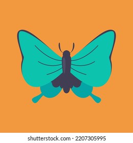colorful beautiful blue butterfly illustration