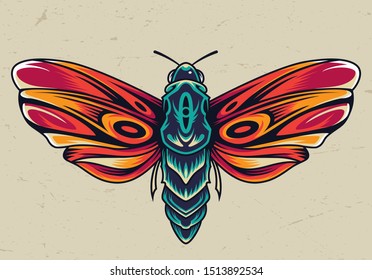 Colorful beautiful butterfly concept in vintage style isolated vector illustration
