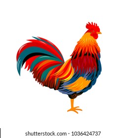 Colorful beautiful cock on a white background. Rooster.                                                                                                                       