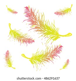 Colorful beautiful feathers are falling down in the air