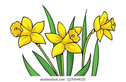 Ilustración de hermosos y coloridos vectores de flores