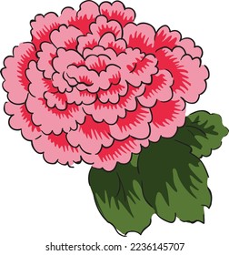 colorful beautiful flowers illustration vector design. Hand drawn shapes and doodle design elements. Exotic jungle leaves, flowers and plants.