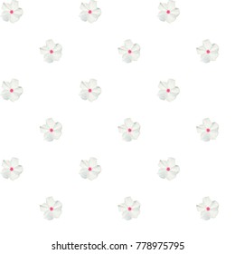 Colorful beautiful naturalistic white flower. Seamless pattern. Vector Illustration. EPS10