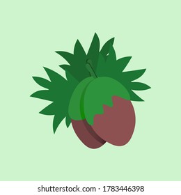 Colorful beautiful popular nuts icon