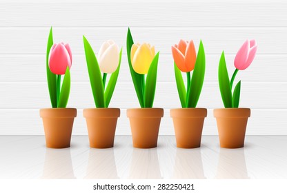 Colorful beautiful tulip flowers. Vector illustration.