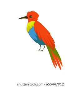 Colorful bee eater bird vector Illustration