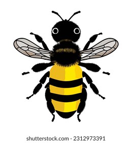 Colorful bee vector illustration on white background