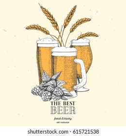 Colorful beer design template. Menu label with barley, hops and beer glasses. Brewery concept. Hand-drawn vector illustration