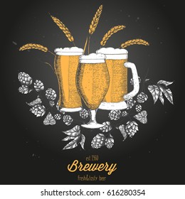 Colorful beer design template. Menu label with barley, hops and beer glasses. Brewery concept. Hand-drawn vector illustration