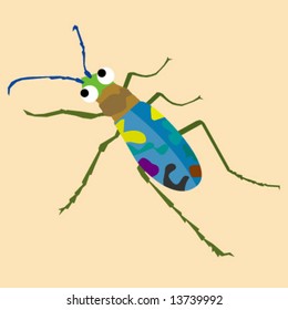 Colorful Beetle