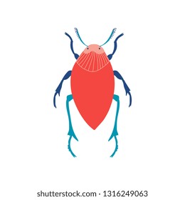 Colorful Beetle Insect, Top View Vector Illustration