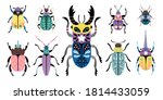 Colorful beetles. Cartoon macro image of cute small bugs, set of creature of entomology science, vector illustration of insects icons isolated on white background