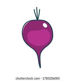 Colorful beetroot clipart cartoon. Beetroot vector illustration.  icon sign symbol
