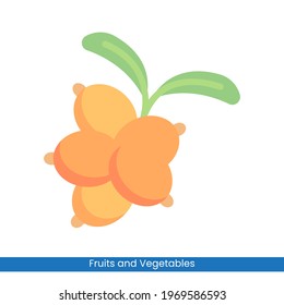 Colorful Berries icon vector design. Fruits and Vegetables symbol for your website design, logo, app, UI. Eps10 vector illustration.