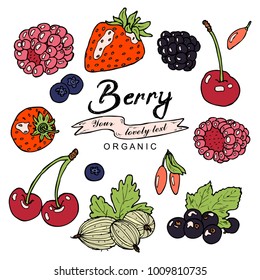 Colorful berry collection in vector