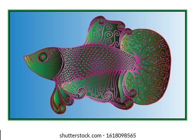 colorful Betta Fish Vector Illustration. beautiful Fighting fish, Hand drawing Siamese fighting fish.