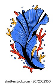 Colorful Betta Fish Vector Illustration. Siam Fighting Fish. Betta Splendens. Blue Betta Fish