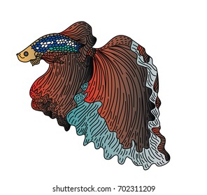 colorful Betta fish vector.beautiful Fighting fish, Hand drawing Siamese fighting fish.Traditional Japanese culture for printing on background.