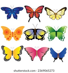 Colorful betterfly collection. Vector illustration on white background