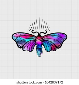 colorful big moth