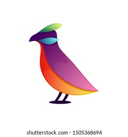Colorful bird abstract vector logo template
