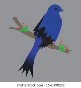Colorful bird with background Image
