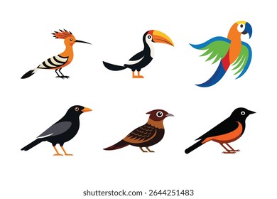 Feixe de pássaros colorido com hornbill, hoopoe, arara, jarra noturna e mina em ilustrações detalhadas. Perfeito para a vida selvagem, aves exóticas, temas tropicais e elementos de design da natureza.