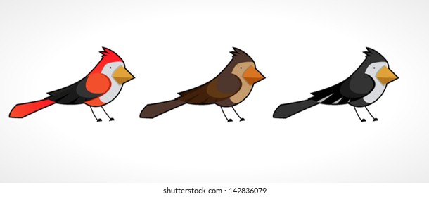 colorful bird collection