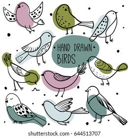 Colorful bird collection. Collection of cute hand drawn bird doodles. Black on white vector set