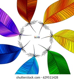 Colorful bird feather isolated on a white background, vector design illustration.