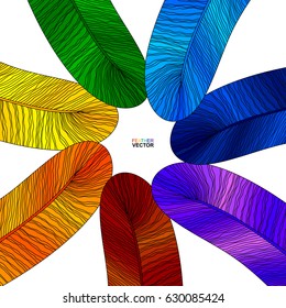 Colorful bird feather isolated on a white background, vector design illustration.