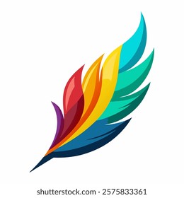 colorful bird feather vector illustration