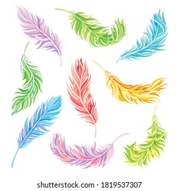 Colorful Bird Feathers as Avian Plumage Vector Set