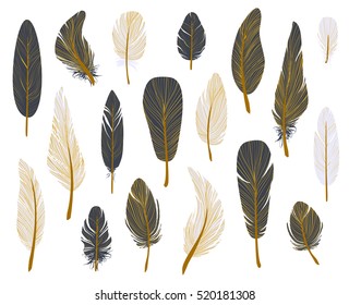 Colorful bird feathers, gold ink set, painted design. Hand drawn editable elements, realistic style, vector illustration. Ethnic Colored feathers, isolated on background,sketched collection.