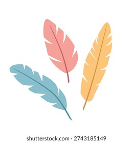 colorful bird feathers set, vibrant decorative plumage collection - vector illustration