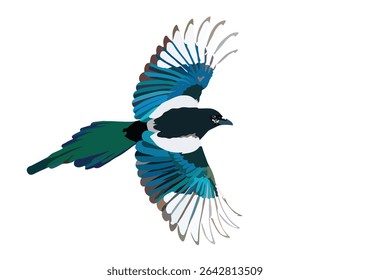 "Colorful Bird in Flight" showcases a vibrant bird soaring gracefully, symbolizing freedom and the beauty of nature.