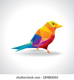 colorful bird illustration